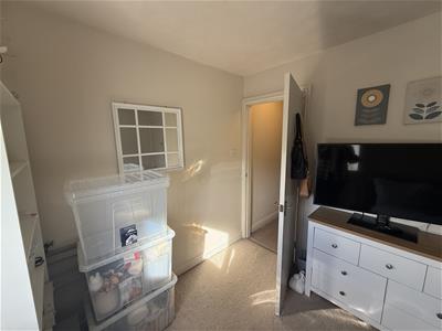 Picture 13
